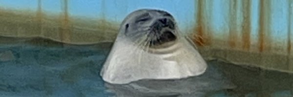 en0ppiDO Profile Banner