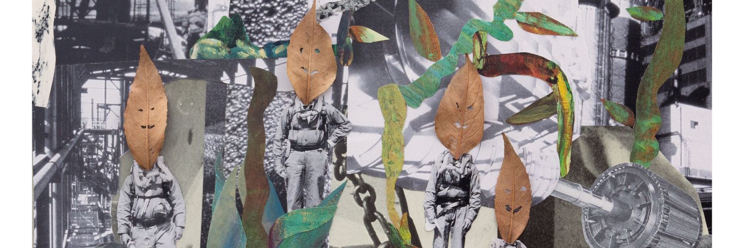 BuhoCosmicoBand's profile banner image