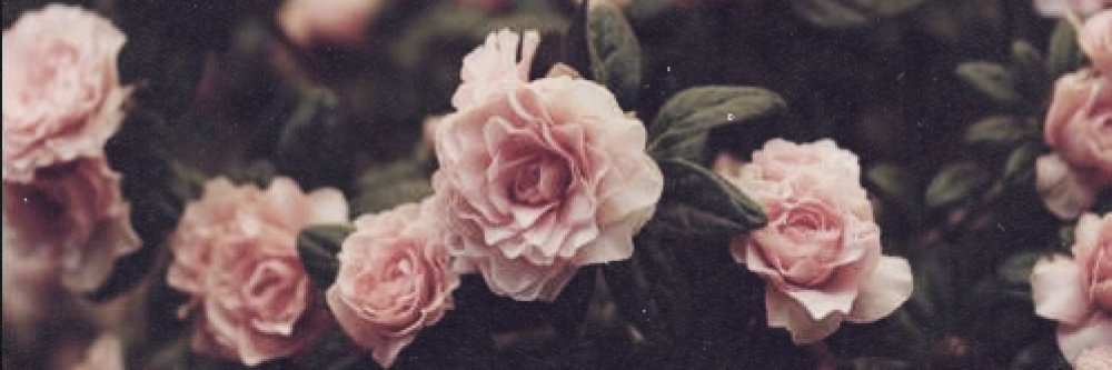 hapyhap's profile banner image