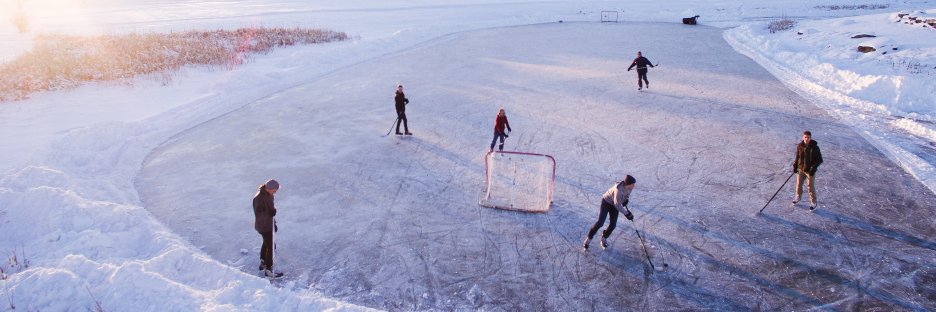 Defend The Ice banner