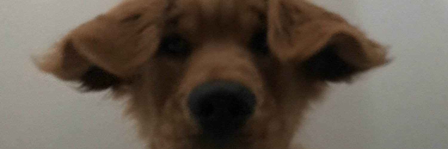 AlexHumbert90's profile banner image
