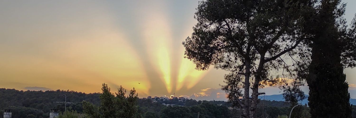LauParFer's profile banner image