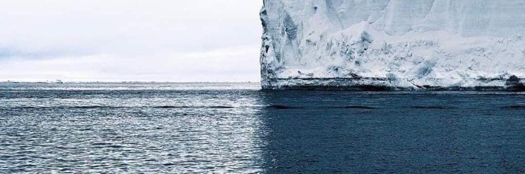 Hopeful Democrat banner