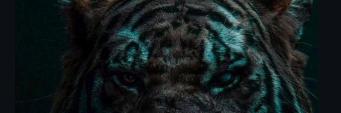 g1ri7's profile banner image