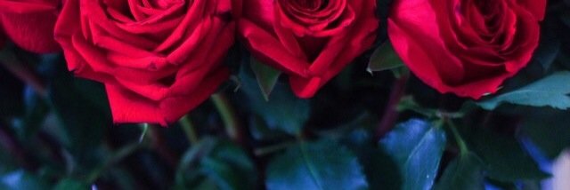 hussah52's profile banner image