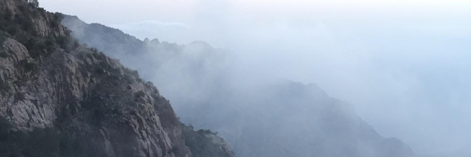 sashd2's profile banner image