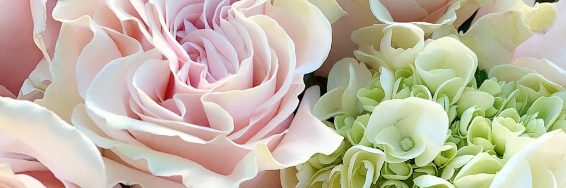 Talarsophie's profile banner image