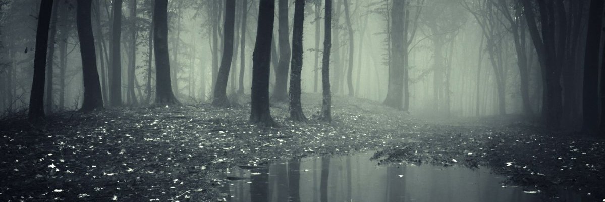 AngelCriollito's profile banner image