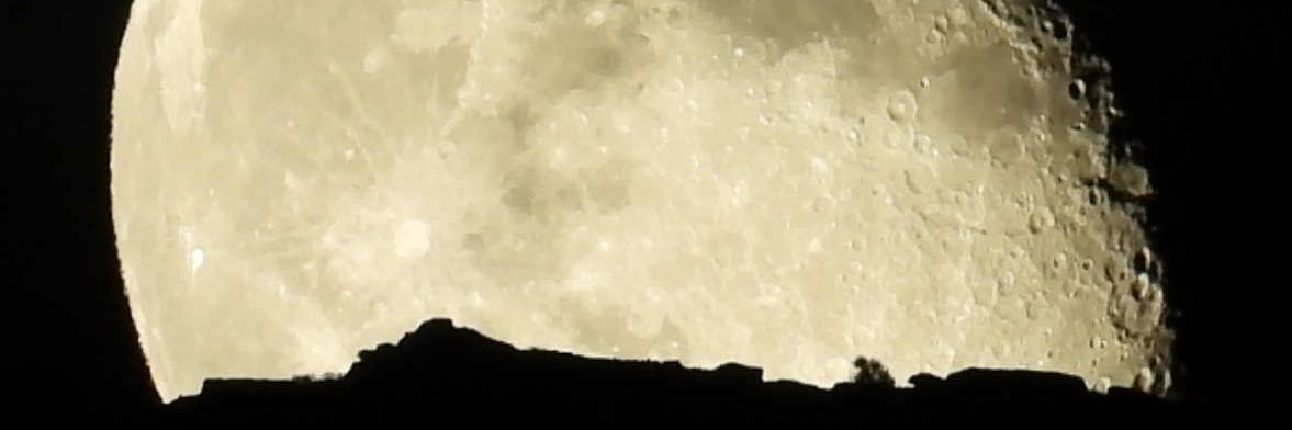 glentron's profile banner image