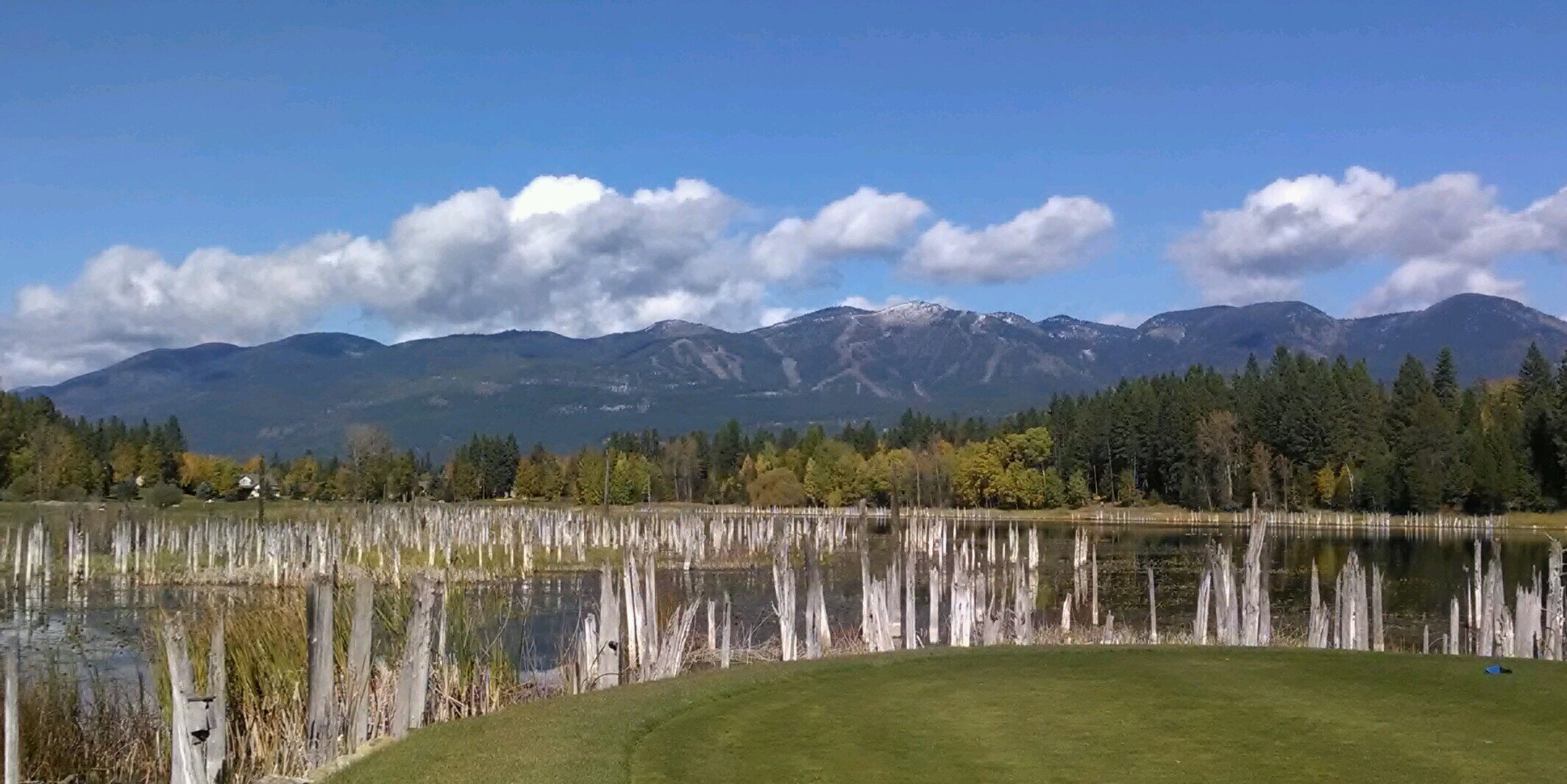 golferto's profile banner image