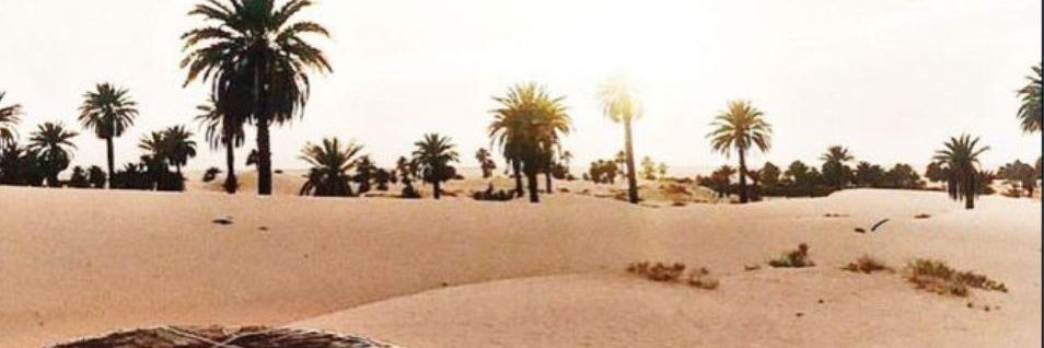 hemoabas26's profile banner image
