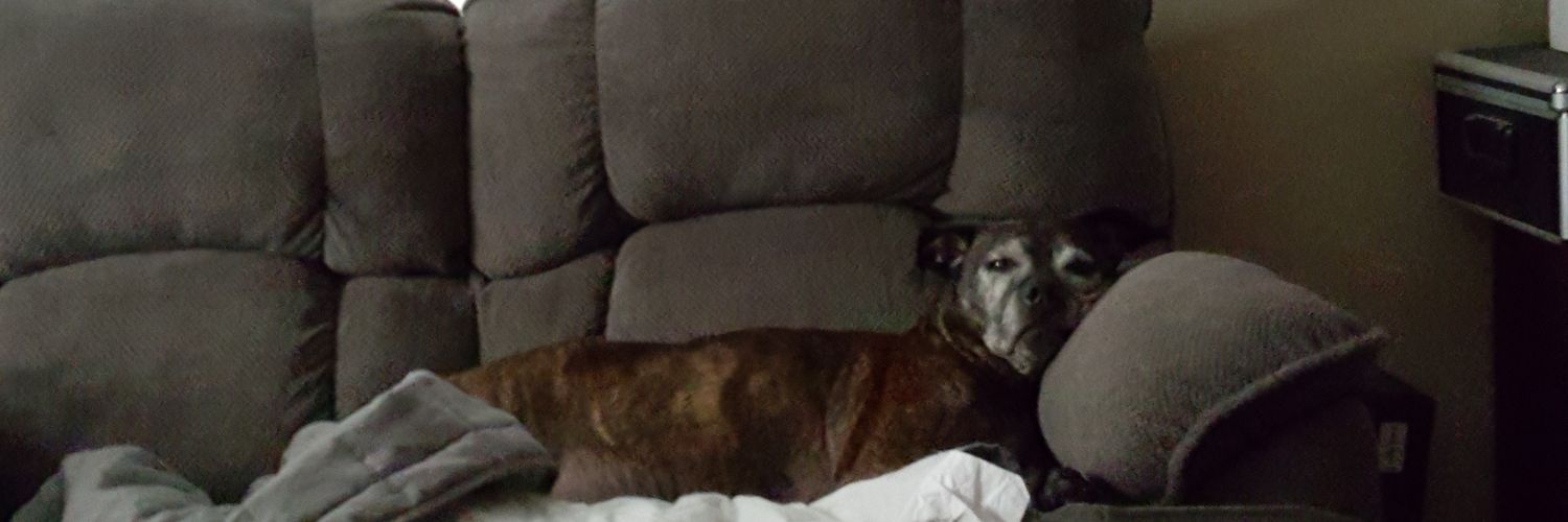 Warren ' Crusty Sparklepants 🎅 ' Smith banner