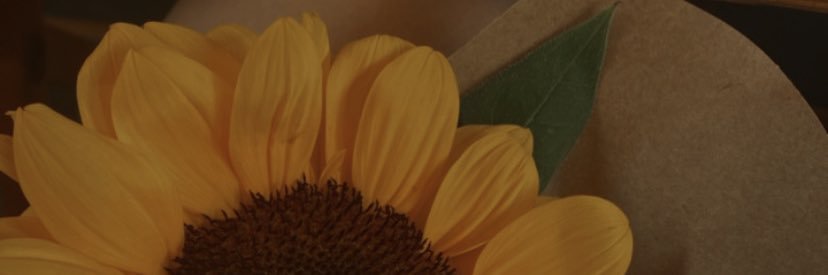 gomesslii's profile banner image