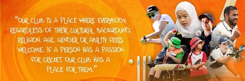 Harmony in Cricket banner