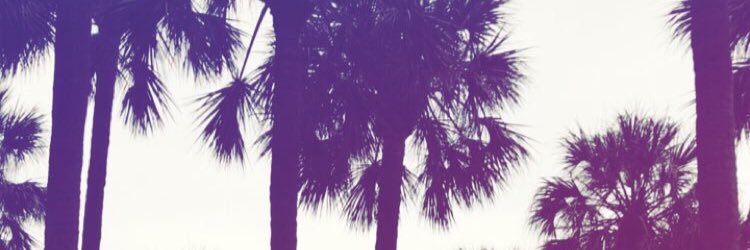 DannyMoruzzi's profile banner image