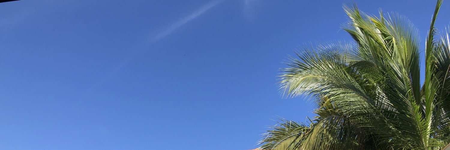 amaister's profile banner image