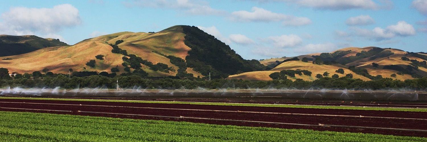 earthboundfarm's profile banner image