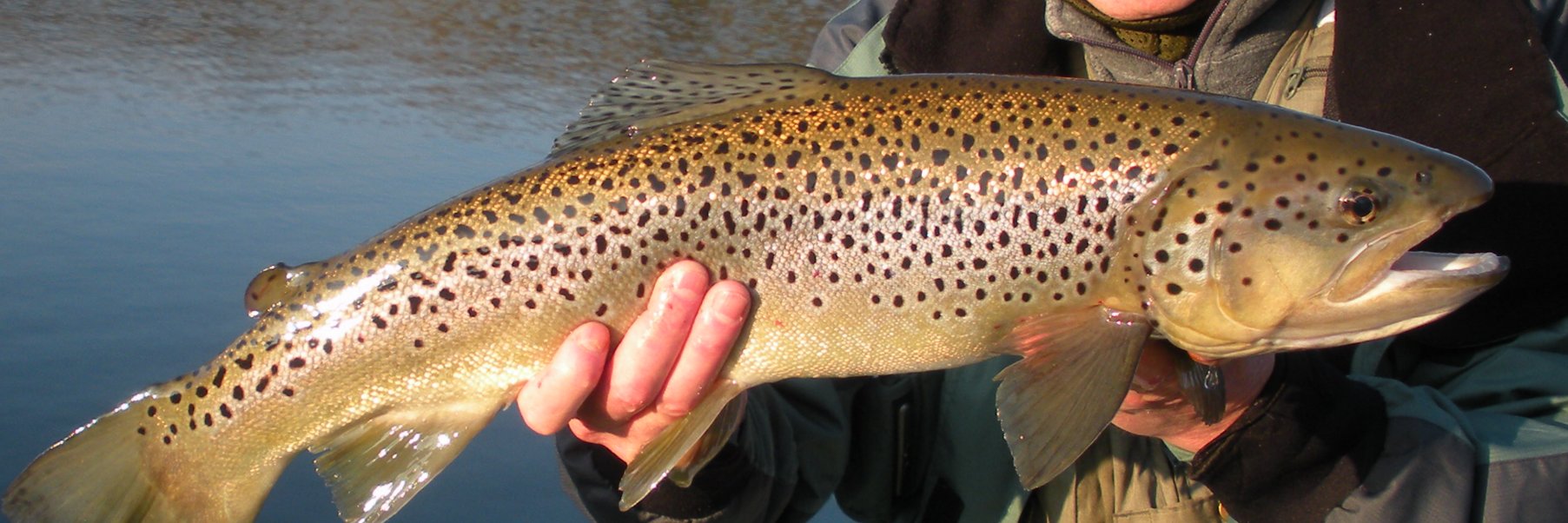CT4Flyfishing's profile banner image
