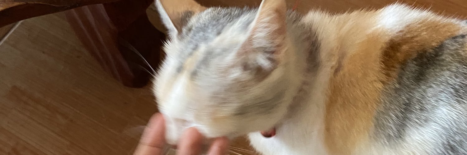 𝖠𝖼𝗁𝗂🫶🏻 banner