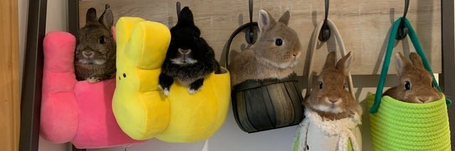 PancakeRabbit7's profile banner image