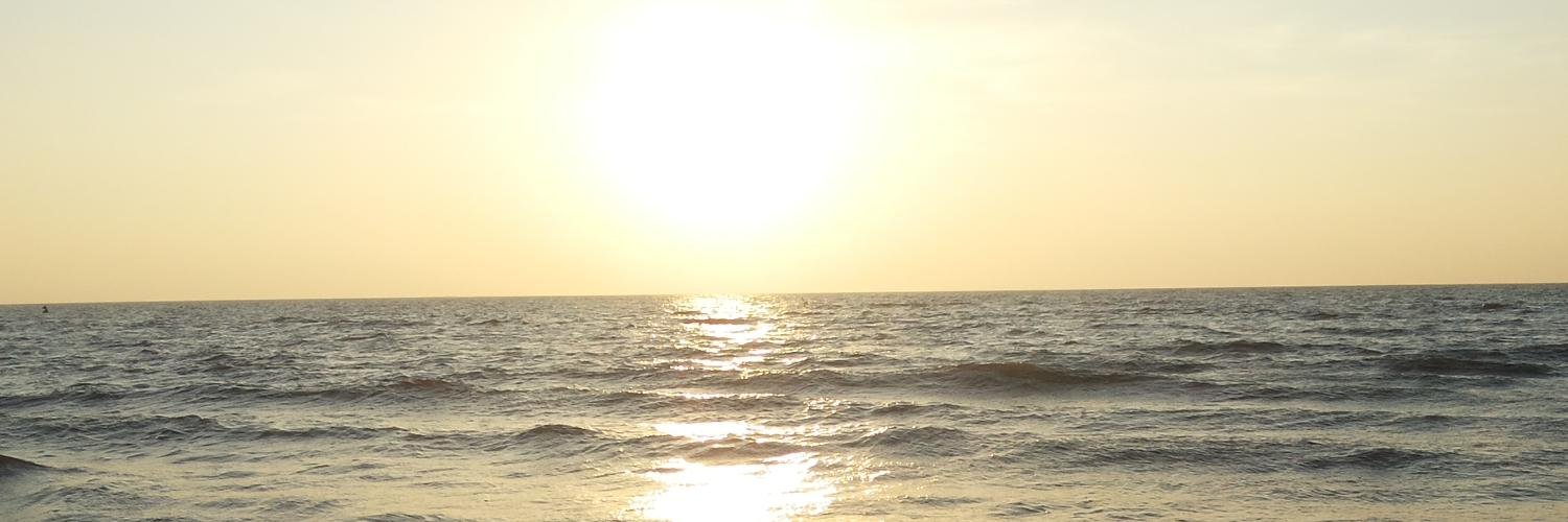 Man_Sap's profile banner image