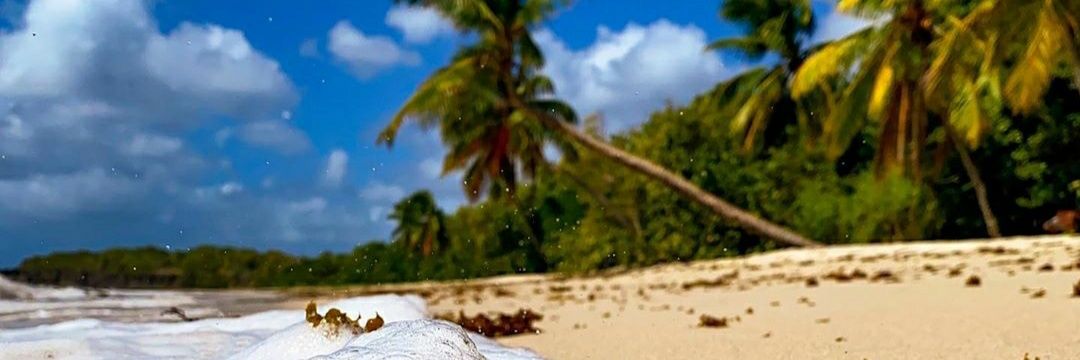 Kiindly's profile banner image