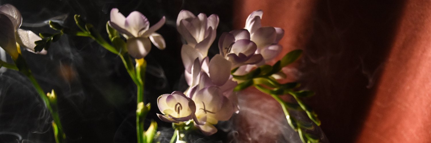 sapphasea's profile banner image