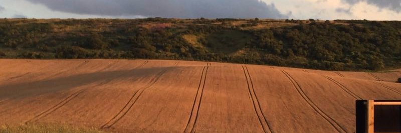 Esther Murray #wearetheuniversity 🕷🇪🇺 banner