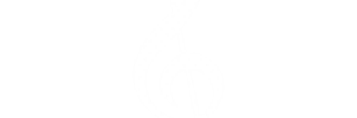 OO5 banner
