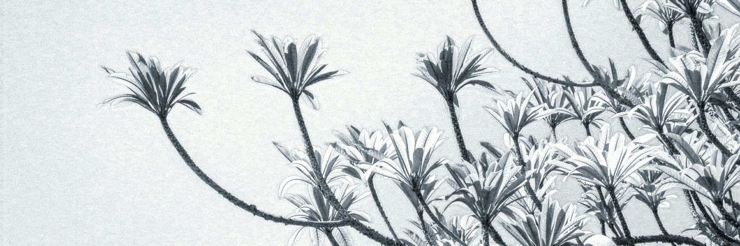 fabin_OR's profile banner image