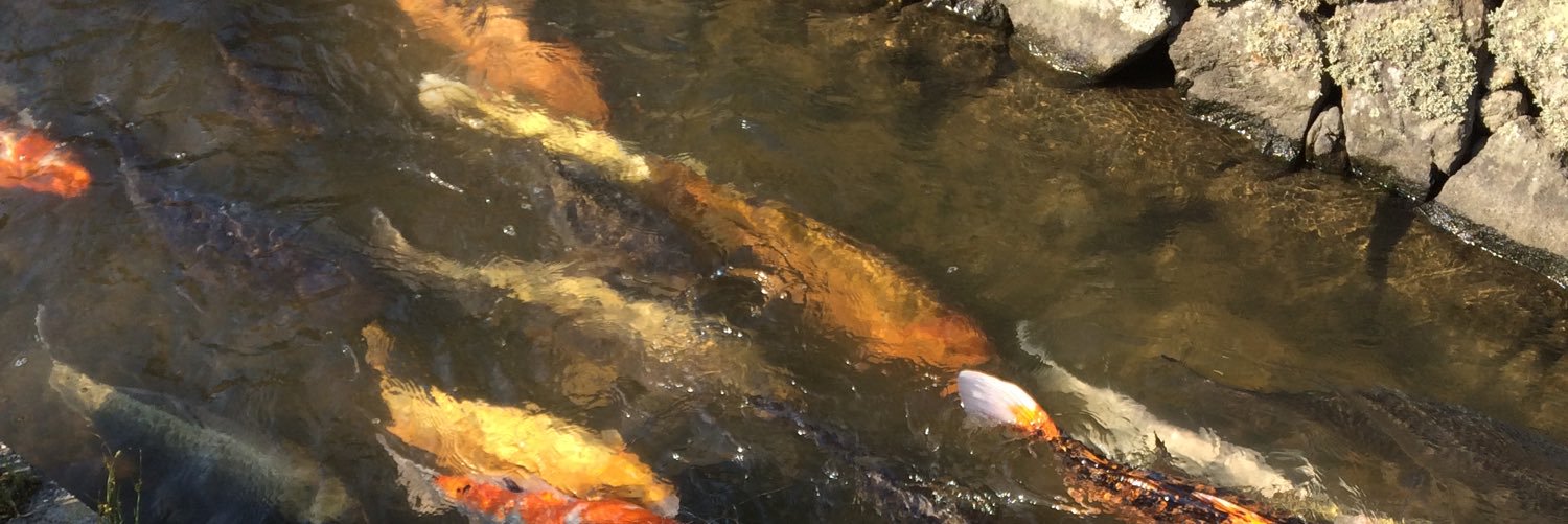 よま/ヤード推 banner