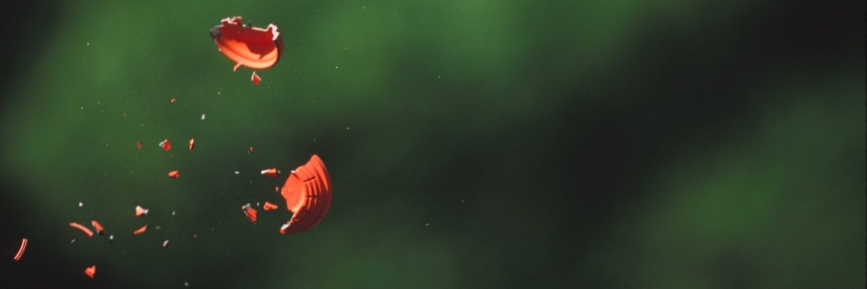 cobia245's profile banner image
