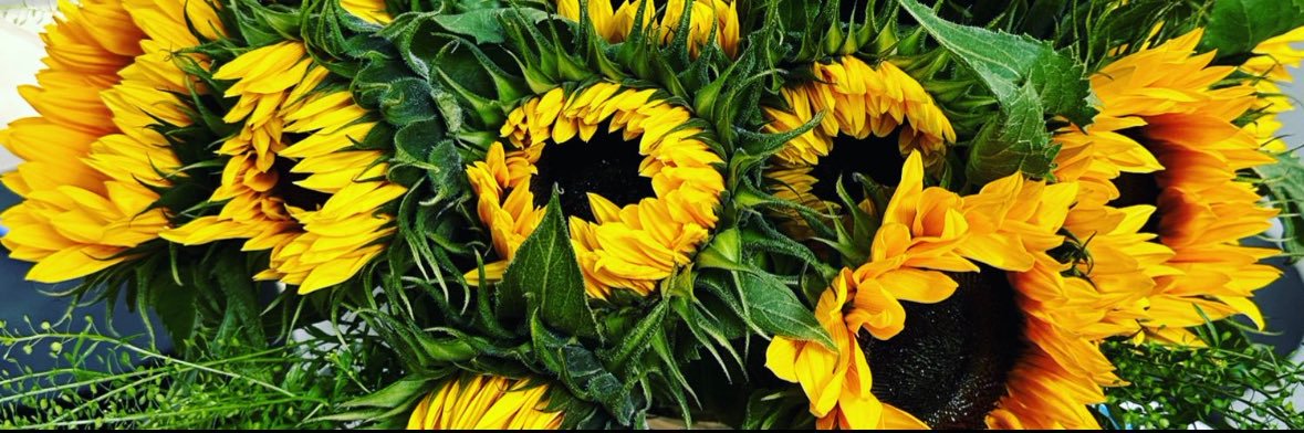 Phillip Schofield banner