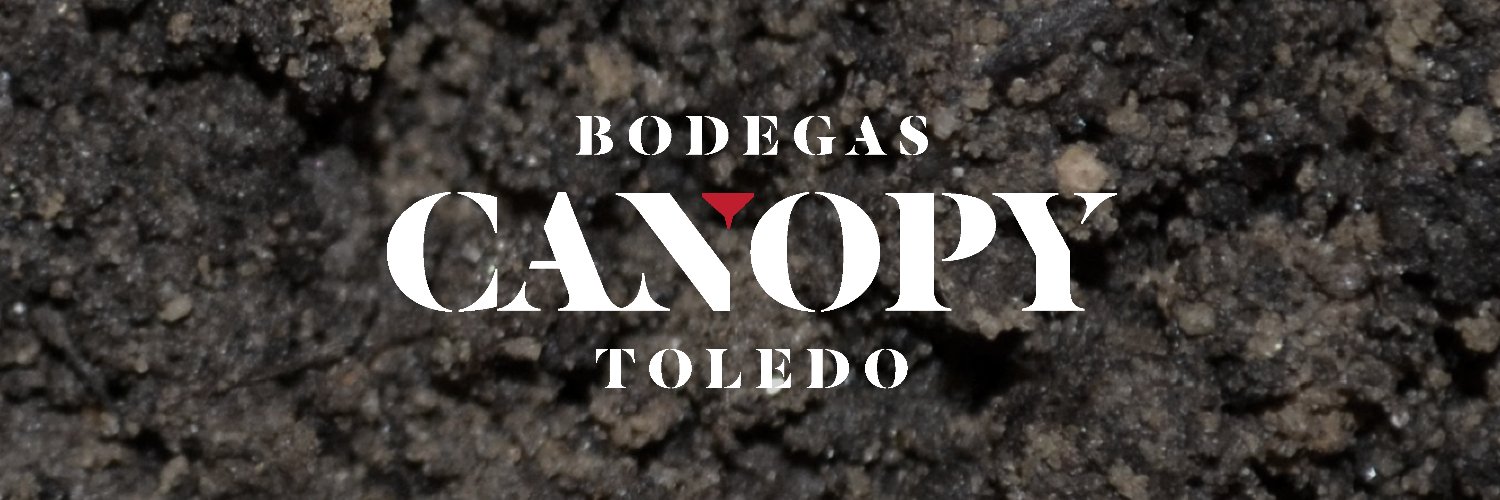 Bodegas Canopy banner