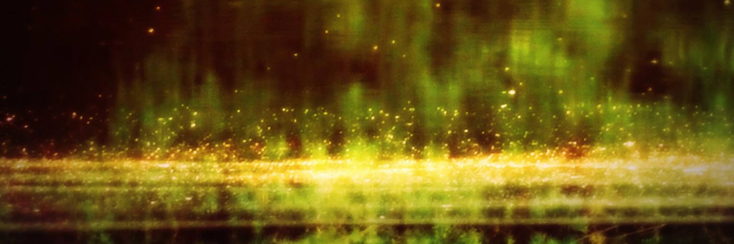 Linda__Raven's profile banner image