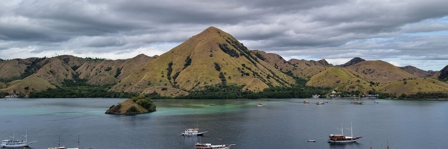 Detty Saluling banner