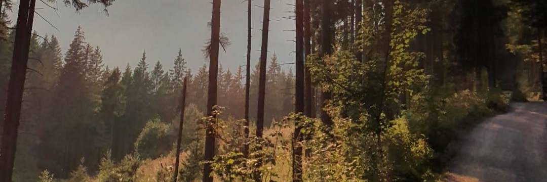 Chr_Lesden's profile banner image