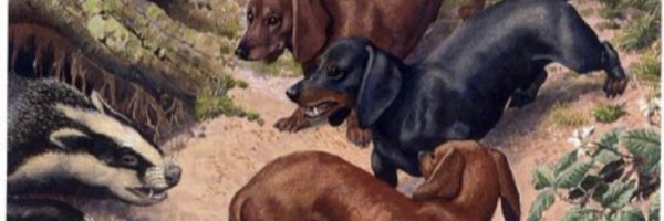 OGLukeMook Profile Banner