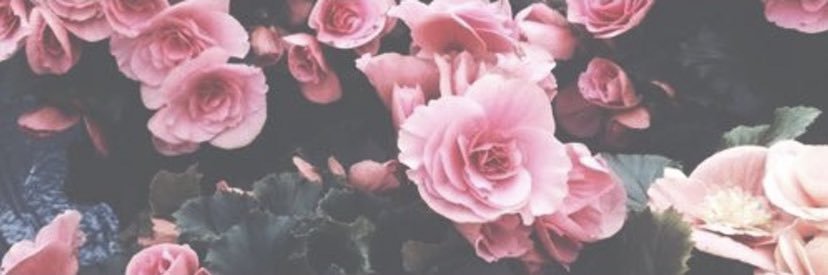 LadyChanene's profile banner image