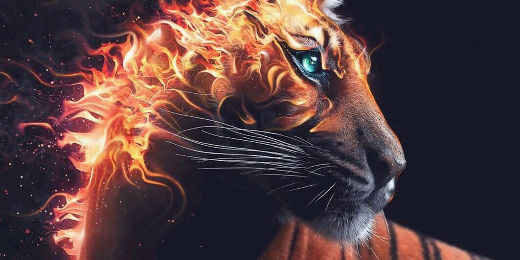 nanarmah's profile banner image