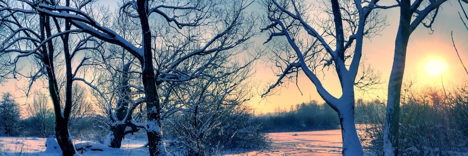 Кир Раев banner