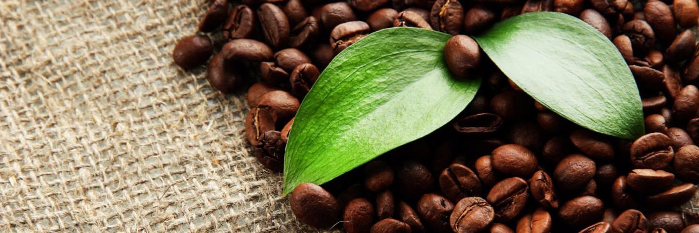 CafeinStory's profile banner image