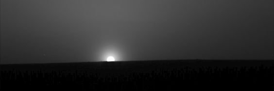 jualbel's profile banner image