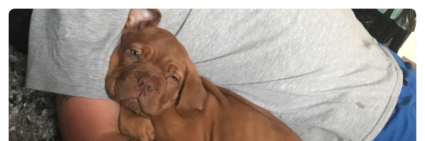 ryanmia02's profile banner image