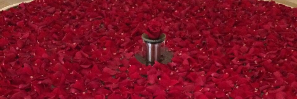 OmarSahoo's profile banner image