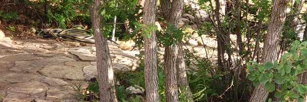 jason_koj Profile Banner