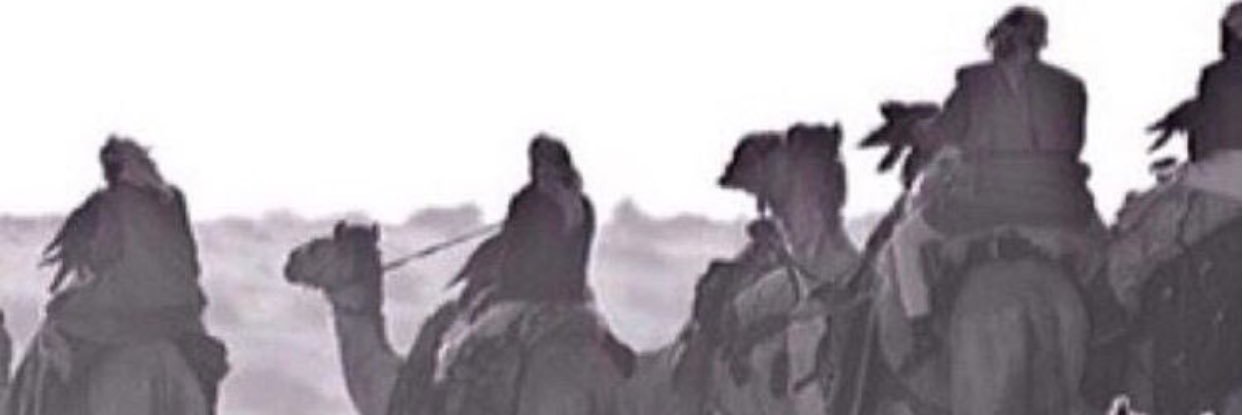 3lSn3fi's profile banner image