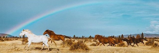 hande_akar's profile banner image