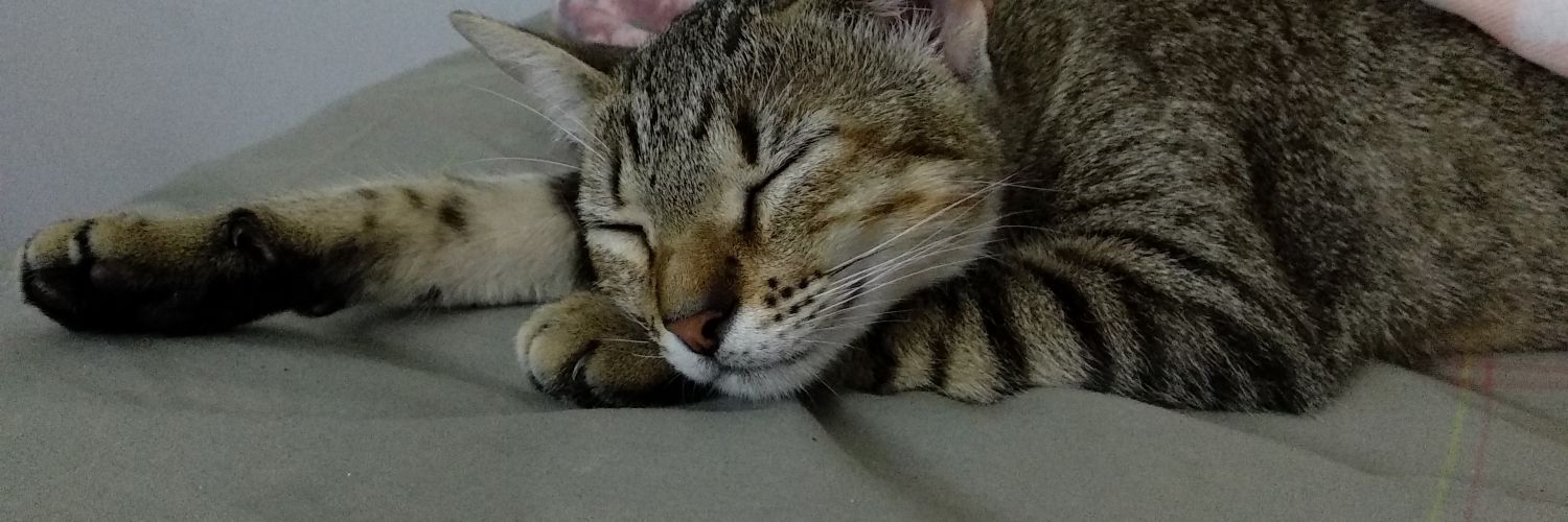 jennkanda's profile banner image