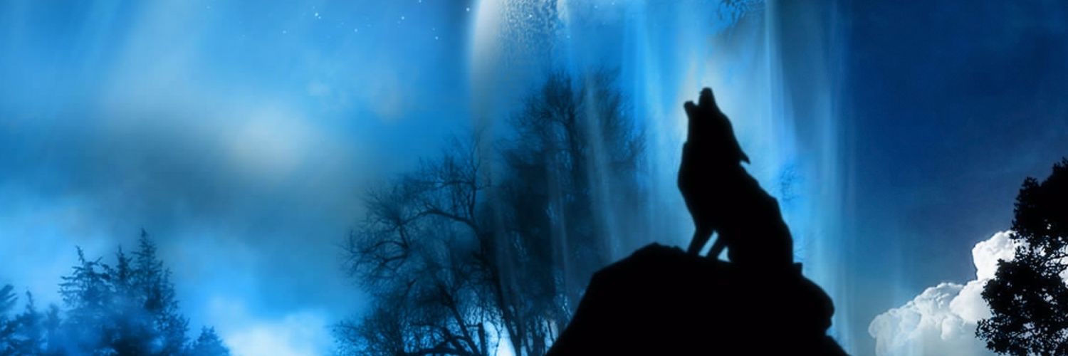 BeastBladeWolf's profile banner image
